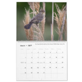 2025年カレンダー – Bird Photos by Tom Spine カレンダー (3月 2027)