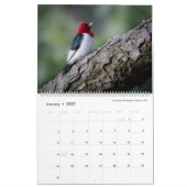 2025年カレンダー – Bird Photos by Tom Spine カレンダー (1月 2027)