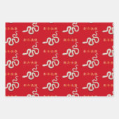 2025年スネーク中国の「ハッピーニューイヤー」 ラッピングペーパーシート (正面2)