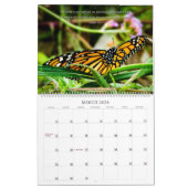 2025年パレルムカレンダーの蝶の本 カレンダー (3月 2026)