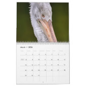 2025年ペリカン鳥カレンダー カレンダー (3月 2026)