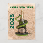 2025年中国の正月の蛇月お祝い シーズンポストカード (正面)