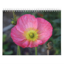 2025年新年おめでとう