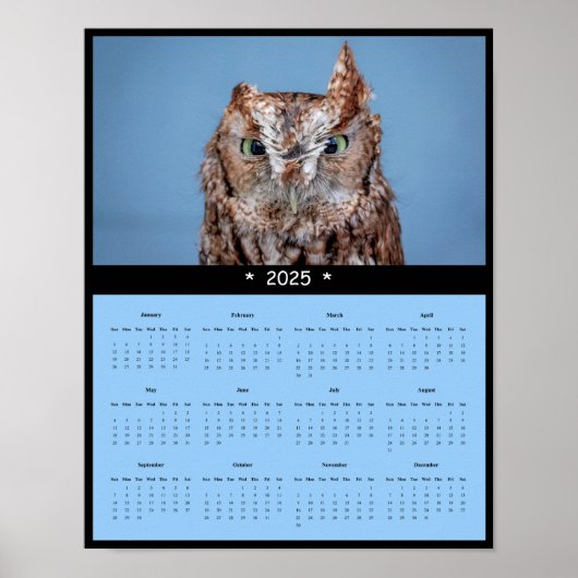 2025年東の悲鳴フクロウの壁カレンダーポスター ポスター (正面)