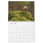 2025年美しい写真のためのキノコのカレンダー カレンダー (3月 2027)