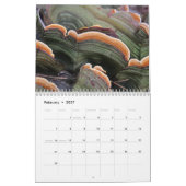 2025年美しい写真のためのキノコのカレンダー カレンダー (2月 2027)