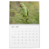 2025年鳥類暦 カレンダー (3月 2027)