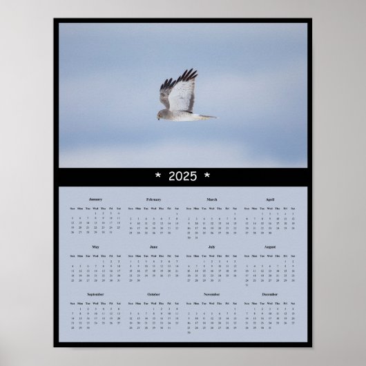 2025年Northern Harrier Hawk Wall Calendarポスター ポスター (正面)