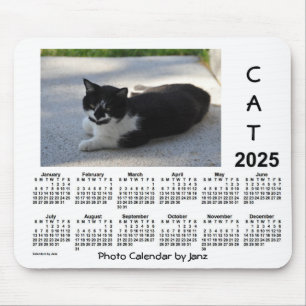 2025年Sassy Catフォトカレンダー(Janz著) マウスパッド