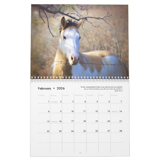 2025絵を描年の動物の写真 カレンダー (2月 2026)