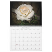 2025美しい自然ウォールカレンダー中サイズ カレンダー (1月 2026)