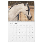 2025美しい馬 カレンダー (1月 2027)