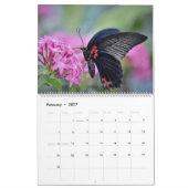 2025蝶とカレンダー カレンダー (2月 2027)