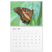 2025蝶とカレンダー カレンダー (3月 2027)