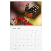 2025蝶とカレンダー カレンダー (1月 2027)