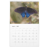 2025蝶ワンページカレンダー カレンダー (3月 2027)