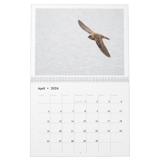 2025野生動物写真カレンダー カレンダー (4月 2026)