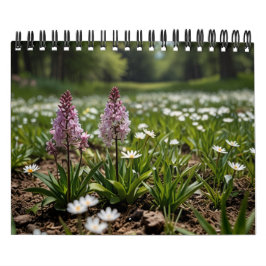 2025風景壁 カレンダー