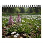 2025風景壁 カレンダー (カバー)