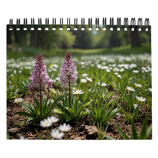 2025風景壁 カレンダー (カバー)