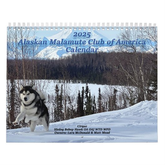 2025 Alaskan Malamute Club of Americaカレンダー カレンダー (カバー)
