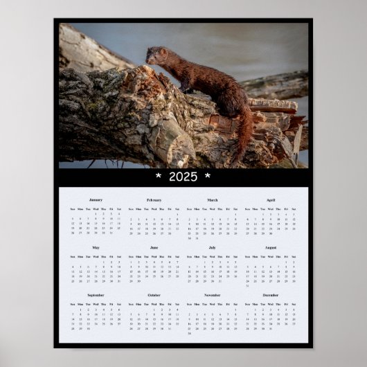 2025 American Mink Wall Calendarポスター ポスター (正面)