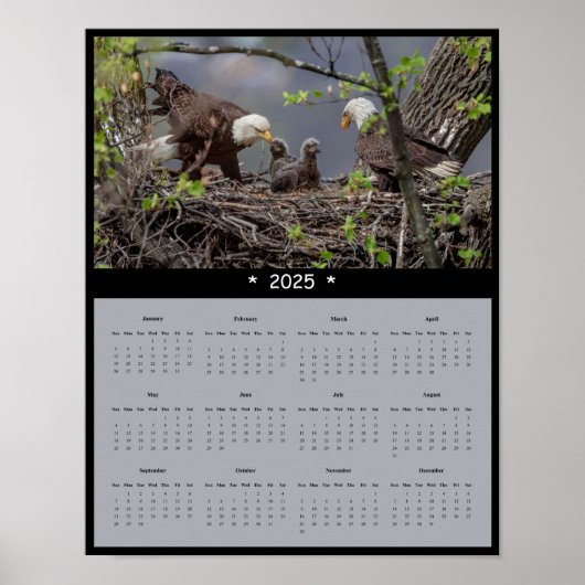 2025 Bald Eagle Wall Calendarポスター ポスター (正面)