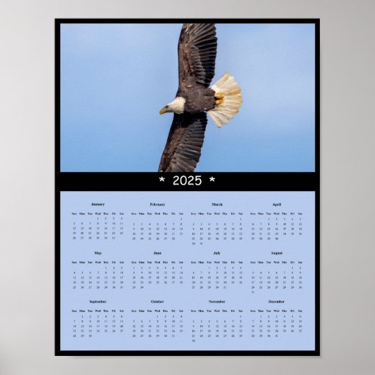 2025 Bald Eagle Wall Calendarポスター ポスター (正面)