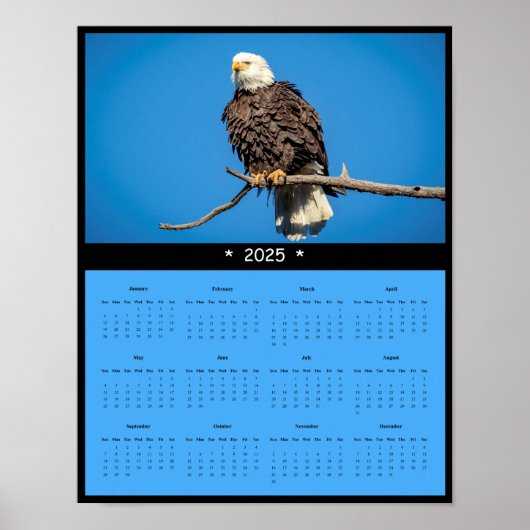 2025 Bald Eagle Wall Calendarポスター ポスター (正面)
