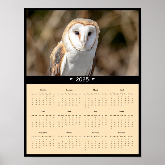 2025 Barn Owl Wall Calendarポスター ポスター (正面)