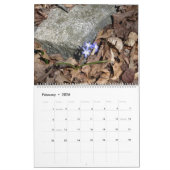 2025 Calendar The Four Seasons in Illinois  カレンダー (2月 2026)