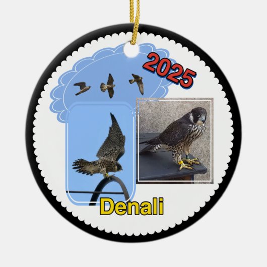 2025 Ceramic Circle Ornament Denali セラミックオーナメント (正面)