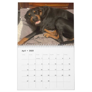 2025 DTカレンダー カレンダー