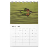 2025 Frog One Pageウォールカレンダー カレンダー (2月 2027)