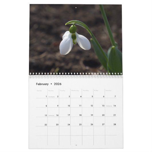 2025 From Lin's Garden Calendar カレンダー (2月 2026)