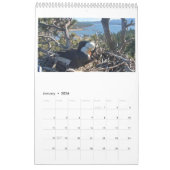 2025 Jackie & Shadow - Big Bear Eagles Calendar 2 カレンダー (1月 2026)