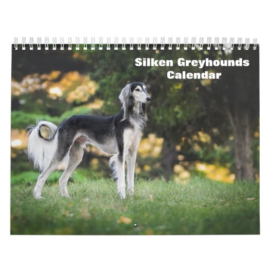2025 Silken Greyhounds子犬カレンダー カレンダー (カバー)