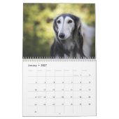 2025 Silken Greyhounds子犬カレンダー カレンダー (1月 2027)