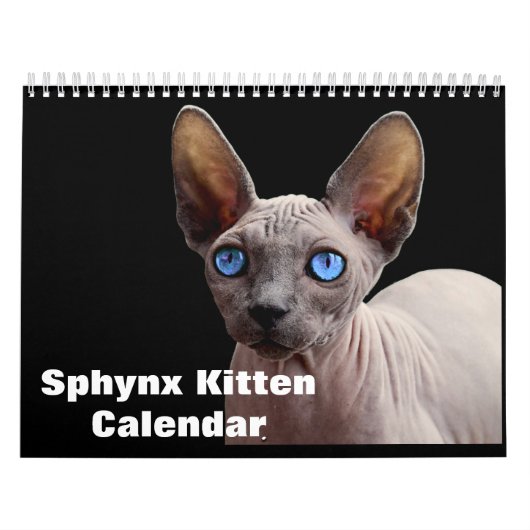 2025 Sphynx Kitten カレンダー (カバー)