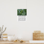 2025 Swallow Tail Caterpillar Calendar by Janz ポスター (キッチン)