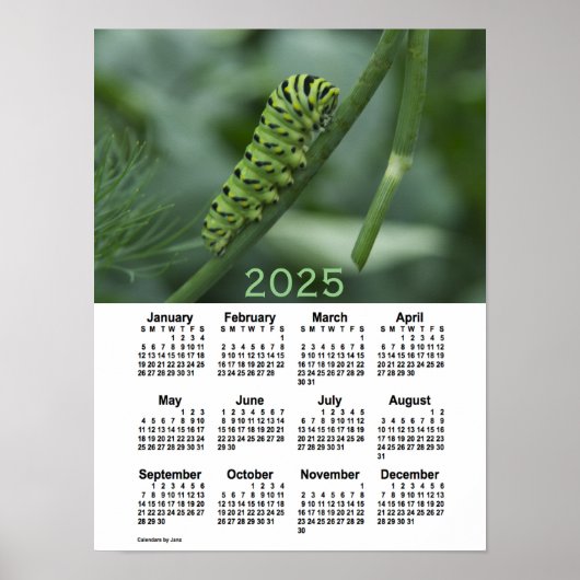 2025 Swallow Tail Caterpillar Calendar by Janz ポスター (正面)