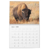 2025 Wildlife写真2ページ中カレンダー カレンダー (3月 2025)