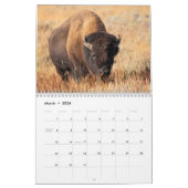 2025 Wildlife写真2ページ中カレンダー カレンダー (3月 2026)