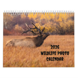 2025 Wildlife写真2ページ中カレンダー カレンダー