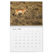 2025 Wildlife写真2ページ中カレンダー カレンダー (1月 2025)