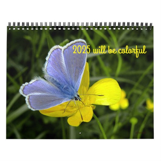 2025 will be colorful calendar カレンダー (カバー)