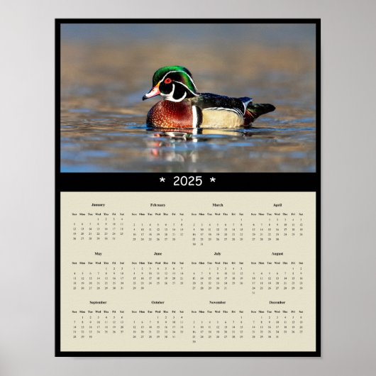 2025 Wood Duck Drake Wall Calendarポスター ポスター (正面)