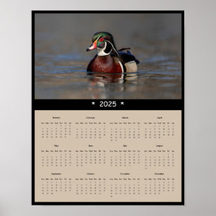 2025 Wood Duck Drake Wall Calendarポスター ポスター