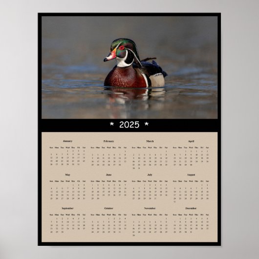 2025 Wood Duck Drake Wall Calendarポスター ポスター (正面)
