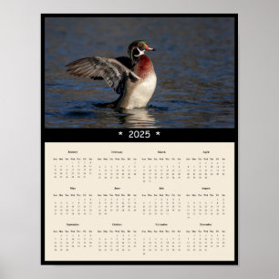 2025 Wood Duck Drake Wall Calendarポスター ポスター